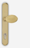 Rock Door gold lever pad handle